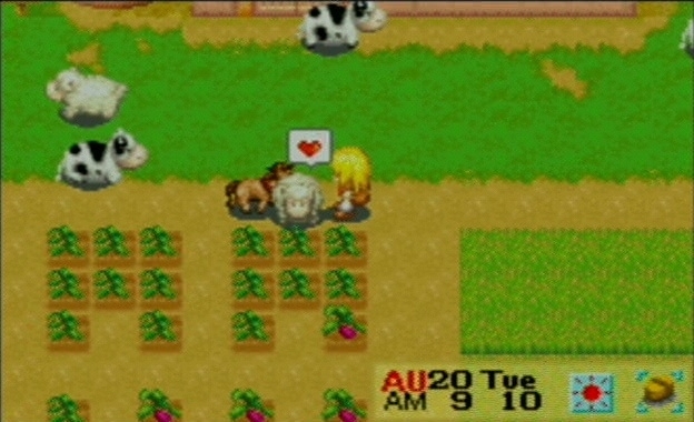 harvest moon friends of mineral town game shark codes