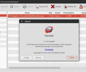 flareget download manager serial