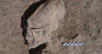 "Alien" skull is unearthed by archaelogists digging in a Mexican cemetery