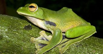 Gang of frog poachers arrested in France
