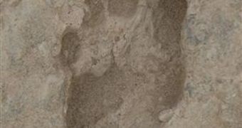 A photo of the 1.5 million year-old human footprint found in Kenya