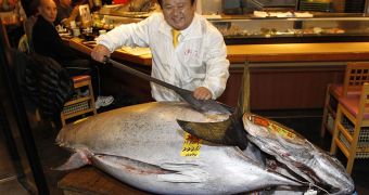 Bluefin tuna sells for $1.76 million