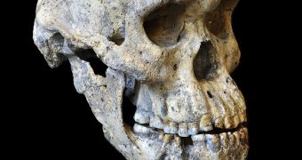 Skull puts into question assumed diversity in early humans