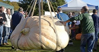 This pumpkin is Britain's heaviest ever