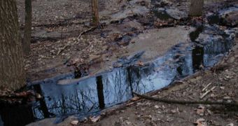 Pipeline bursts, spills 10,000 gallons of crude oil into Ohio's Oak Glen Nature Preserve