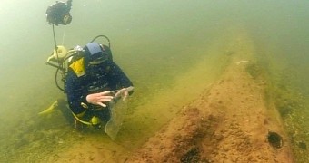 Diver finds ancient underwater forest off the coast of Norfolk