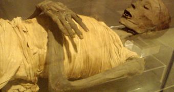 Boy appears to have found an Egyptian mummy hidden inside his grandmother's attic