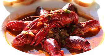 Cajun Style Cooked Crayfish