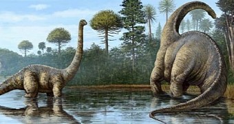 At one point, sauropods inhabited nearly all corners of the world