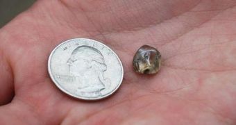 Boy finds diamond while visiting state park in Arkansas