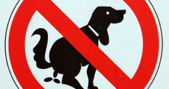 Dog-fouling is fined and reports are rewarded