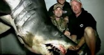 Largest mako shark in the world captured in California