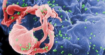 14 Adults Allegedly Cured of HIV