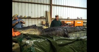 Drew Baker breaks record with 13.9-foot (4.2-meter) alligator