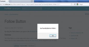 A Twitter developer page contains an XSS vulnerability