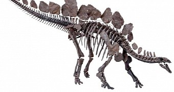 150-Million-Year-Old Dinosaur Skeleton Will Soon Go on Display in London
