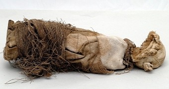 Mummified fetus found in Central Italy dates back to the 19th century