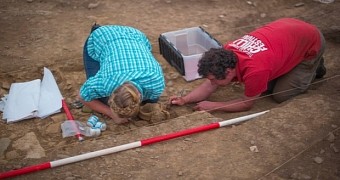 Archaeologists excavating the amphora