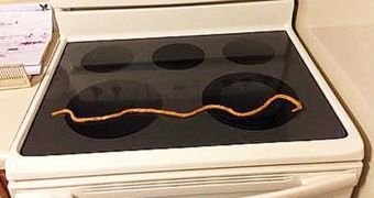 Gary Young finds a 2-foot (61-cm) curly fry