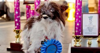 Peanut is the winner of this year's World's Ugliest Dog contest