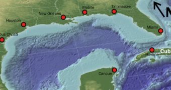 This year's Gulf of Mexico dead zone is very small