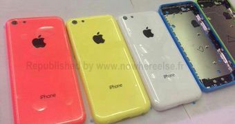 Purported "budget" iPhone cases