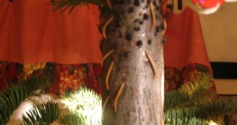 Bugs awaken from the Christmas tree
