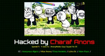 28 Chinese government websites defaced by Charaf Anons