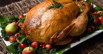 $282 Million (€221.2 M) Worth of Turkey Go Down the Drain Every Thanksgiving