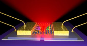 2D LED could herald light-based processors