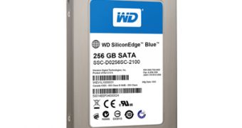 Western Digital SSD shipments were dismal compared to those of HDDs