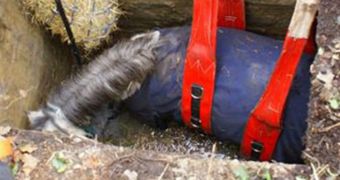 30 firefighters join hands to rescue a pony stuck in a well