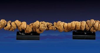Ancient poop wil soon be auctioned off in California, US