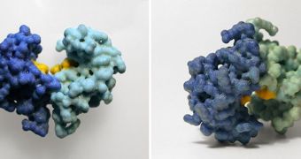 3D printed protein models from Biologic Models