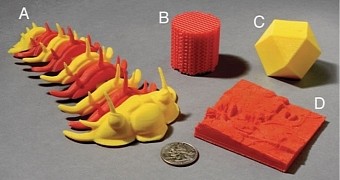 Models 3D-printed at the GeoFabLab at Iowa State University