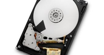 Hitachi Deskstar hard disk line gets 3TB members