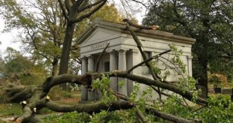 Several public gardens destroyed by hurricane Sandy need help getting back on track