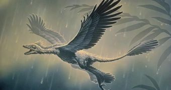 Fossil evidence sheds new light on the feeding behavior of flying dinosaur