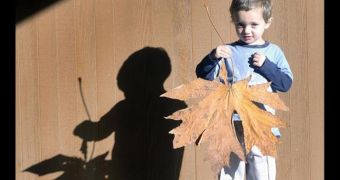 Tommy Lindsey finds giant maple leaf