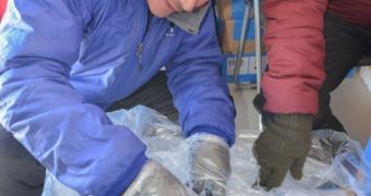 Researchers find 40-pounds meteorite in the Antarctica