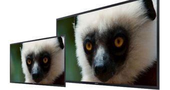 4K UHD OLED Monitors of 30 and 56 Inches Revealed by Sony