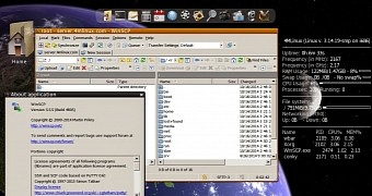 4MLinux Allinone Edition 10.1 Beta desktop