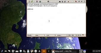 4MLinux Server Edition 10.1 Beta Is a Small Server with a Desktop Environment