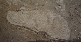 5,000-Year-Old Footprints Left Behind by Fishermen Found in Denmark