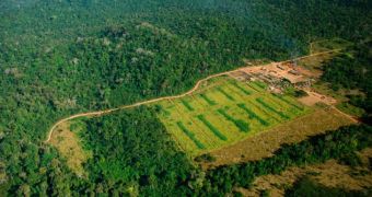 Millions of hectares of land in Brazil lost their protected status between 1981 and 2012