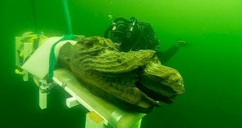 Centuries-old wooden sea monster pulled from the Baltic