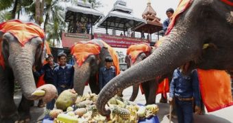 52 Elephants Get All-You-Can-Eat Buffet for Their National Day in Thailand