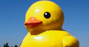Ginormous inflated duck disappears in China, its remains are nowhere to be found