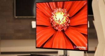 55-Inch OLED Display from LG Appears at CES 2012