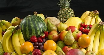 Common culinary fruits. Bananas, apples, pears, strawberries, oranges, grapes, canary melons, water melon, cantaloupe, pineapple and mango